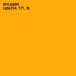 #FEAB09 - Yellow Sea Color Image