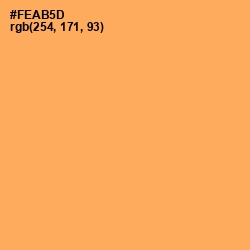 #FEAB5D - Texas Rose Color Image