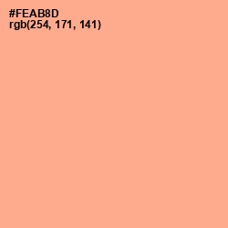 #FEAB8D - Hit Pink Color Image