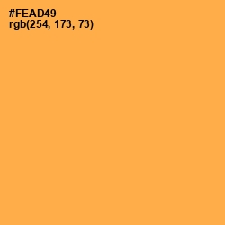 #FEAD49 - Yellow Orange Color Image