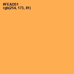 #FEAD51 - Texas Rose Color Image