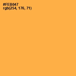 #FEB047 - Yellow Orange Color Image