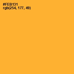 #FEB131 - Sea Buckthorn Color Image