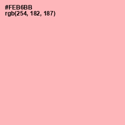 #FEB6BB - Sundown Color Image