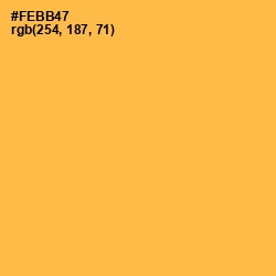 #FEBB47 - Casablanca Color Image