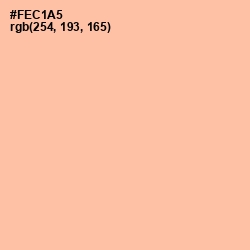 #FEC1A5 - Wax Flower Color Image