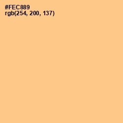 #FEC889 - Chardonnay Color Image