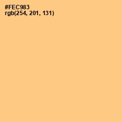 #FEC983 - Chardonnay Color Image