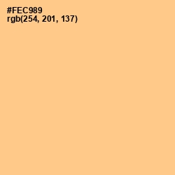 #FEC989 - Chardonnay Color Image
