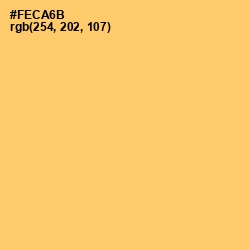 #FECA6B - Goldenrod Color Image