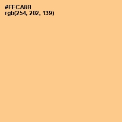#FECA8B - Chardonnay Color Image
