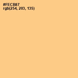 #FECB87 - Chardonnay Color Image