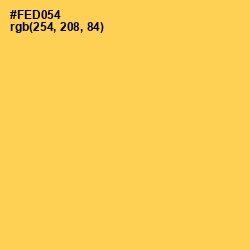 #FED054 - Mustard Color Image