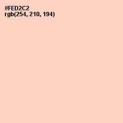 #FED2C2 - Tuft Bush Color Image