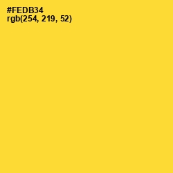 #FEDB34 - Bright Sun Color Image