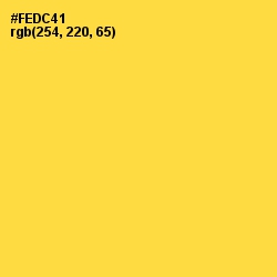 #FEDC41 - Mustard Color Image