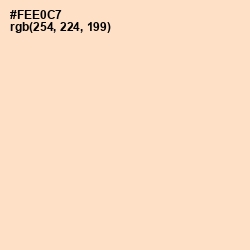 #FEE0C7 - Negroni Color Image