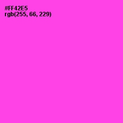 #FF42E5 - Pink Flamingo Color Image