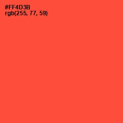 #FF4D3B - Flamingo Color Image