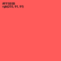 #FF5B5B - Sunset Orange Color Image