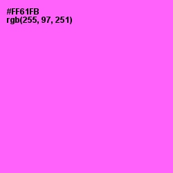 #FF61FB - Pink Flamingo Color Image