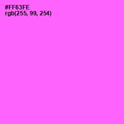 #FF63FE - Pink Flamingo Color Image