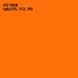 #FF700A - Sorbus Color Image