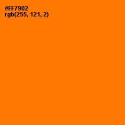 #FF7902 - Sorbus Color Image