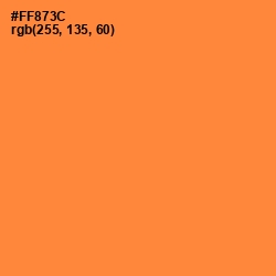 #FF873C - Jaffa Color Image