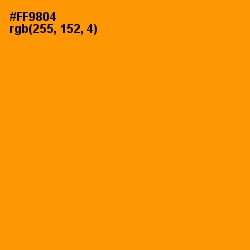 #FF9804 - California Color Image