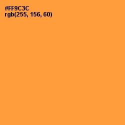 #FF9C3C - Neon Carrot Color Image