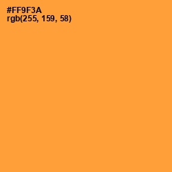 #FF9F3A - Neon Carrot Color Image