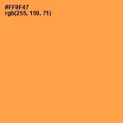 #FF9F47 - Tan Hide Color Image