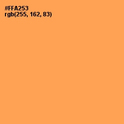 #FFA253 - Texas Rose Color Image