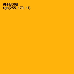 #FFB30B - Selective Yellow Color Image