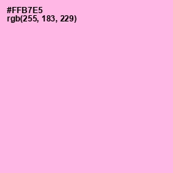 #FFB7E5 - Lavender Rose Color Image