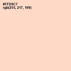 #FFD9C7 - Tuft Bush Color Image