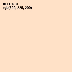 #FFE1C8 - Negroni Color Image