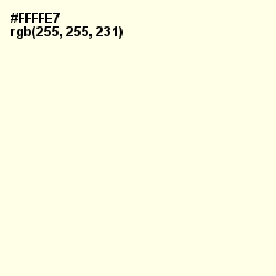 #FFFFE7 - Chilean Heath Color Image