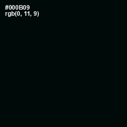 #000B09 - Cod Gray Color Image