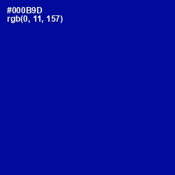 #000B9D - Ultramarine Color Image