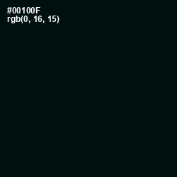#00100F - Midnight Moss Color Image