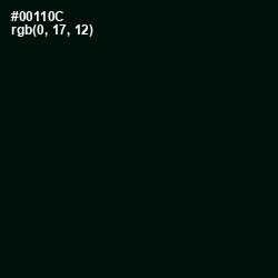 #00110C - Midnight Moss Color Image