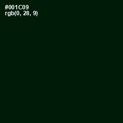 #001C09 - Midnight Moss Color Image