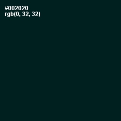 #002020 - Burnham Color Image