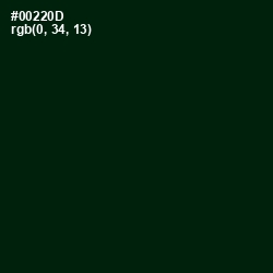 #00220D - Palm Green Color Image