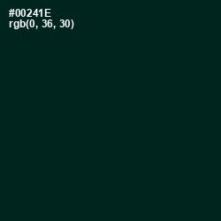 #00241E - English Holly Color Image