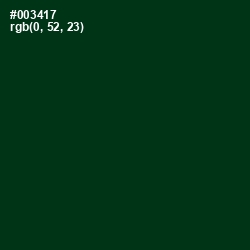 #003417 - County Green Color Image