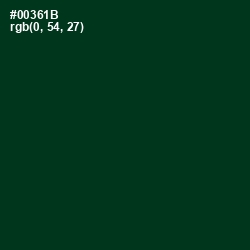 #00361B - County Green Color Image