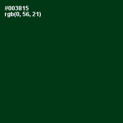 #003815 - County Green Color Image
